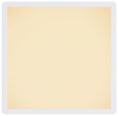 Stropní LED osvětlení bílé, 41563-24W, 1259