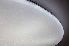 Stropní LED svítidlo DANNY (5445,721)