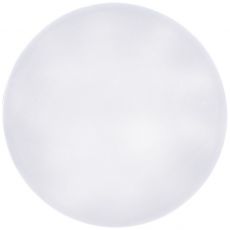 Stropní LED svítidlo DANNY (5445,721)